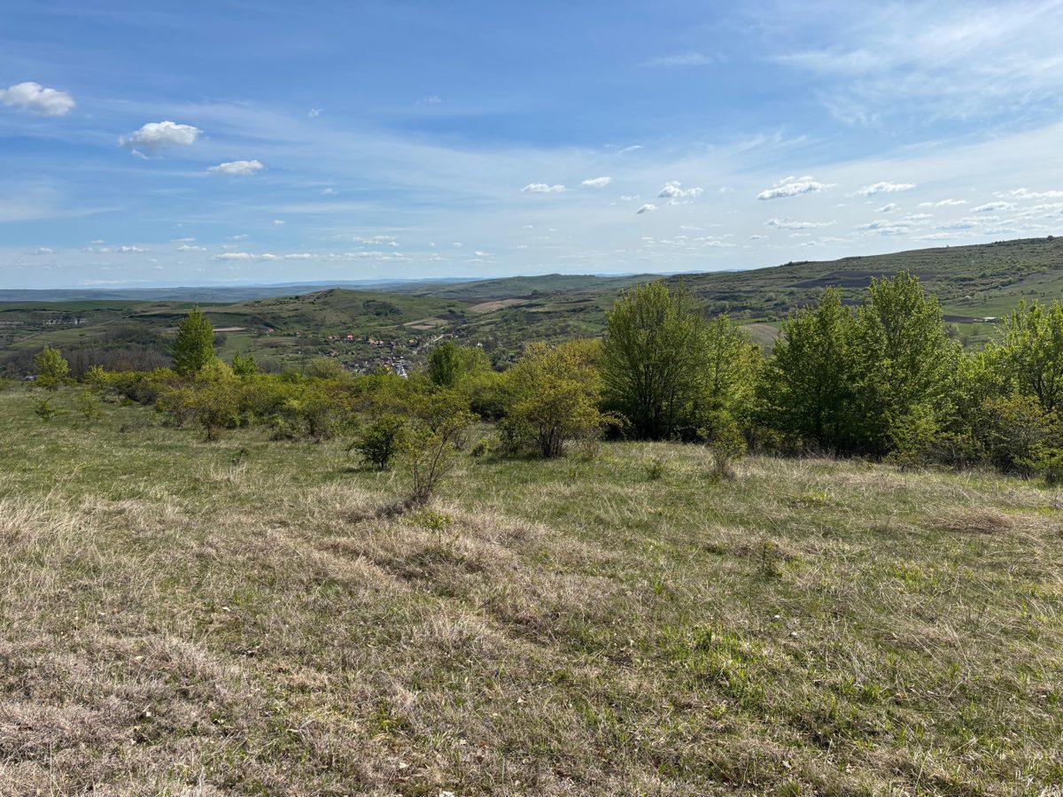 Teren extravilan, cota parte de ½, in suprafata de 8750 mp, situat in com. Chinteni, jud. Cluj 1