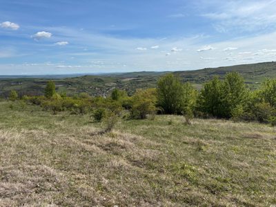 Teren extravilan, cota parte de ½, in suprafata de 8750 mp, situat in com. Chinteni, jud. Cluj