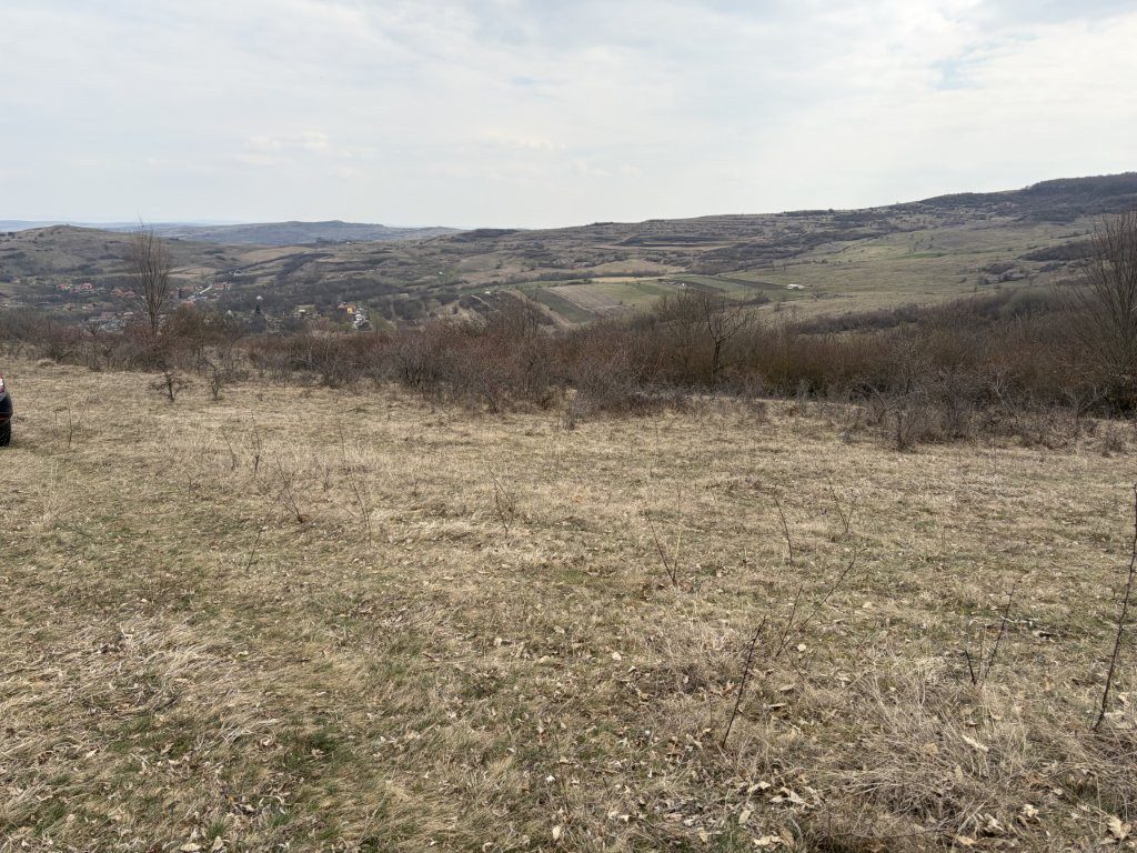 Miniatură 4