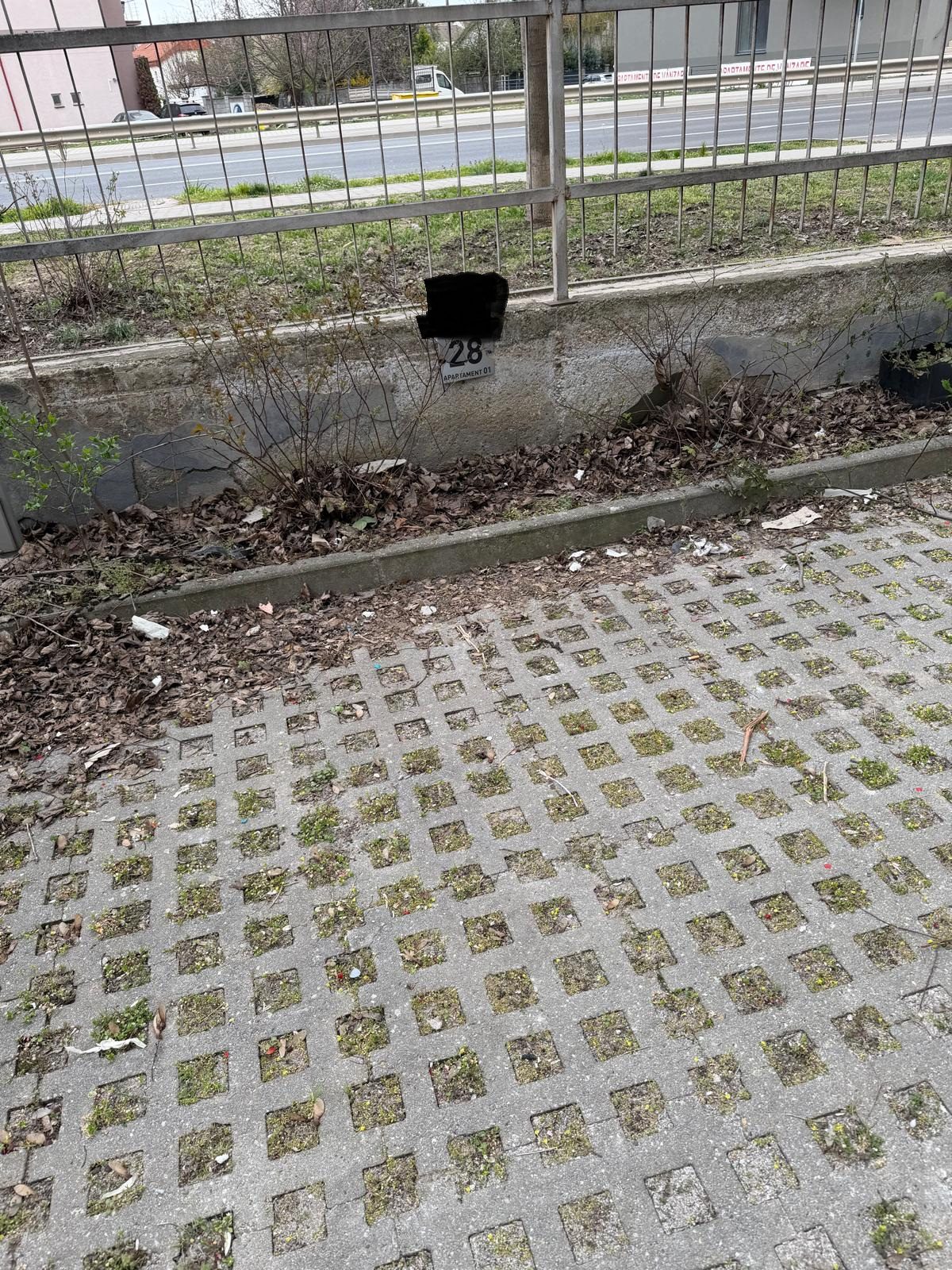 Miniatură 2