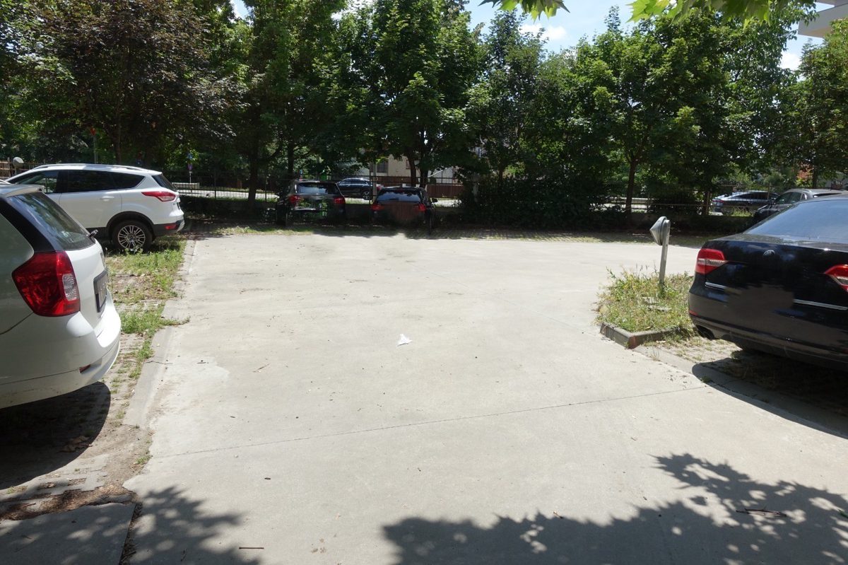 Miniatură 4
