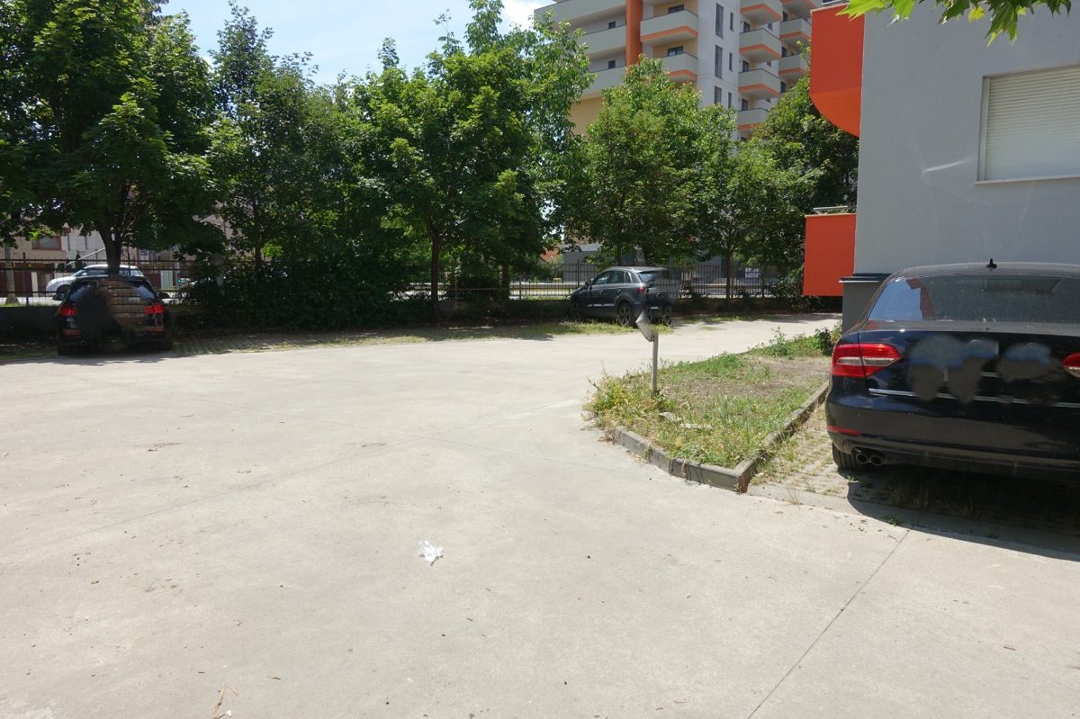 Miniatură 8