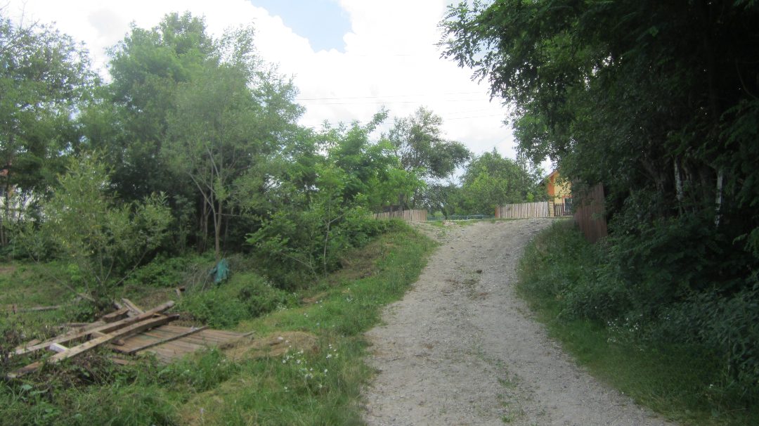Miniatură 3
