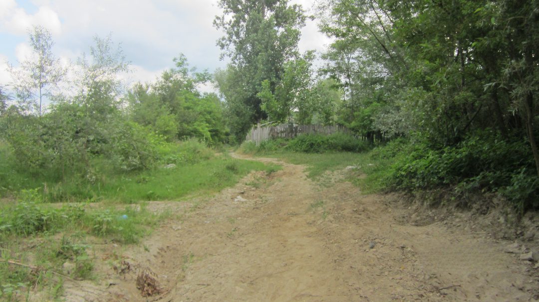 Miniatură 5