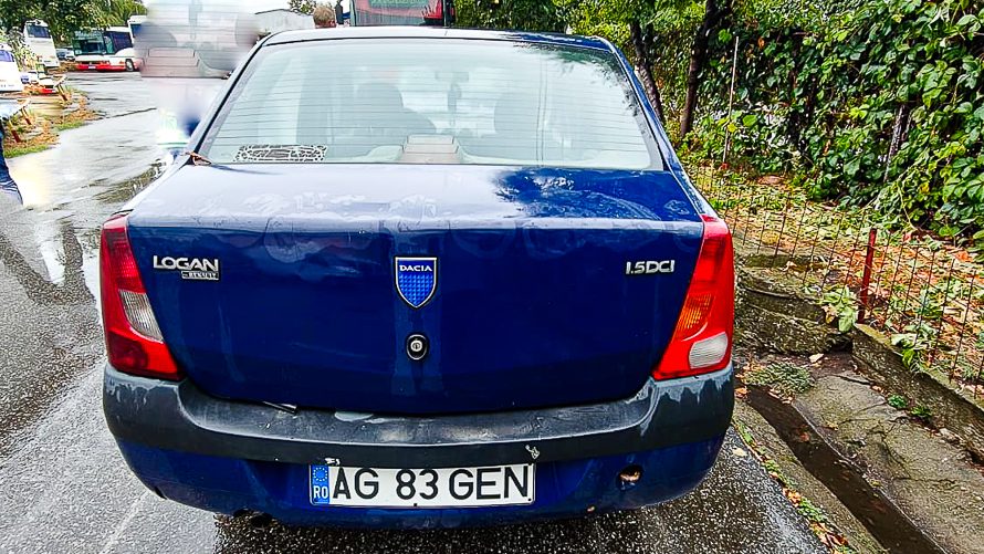Miniatură 8