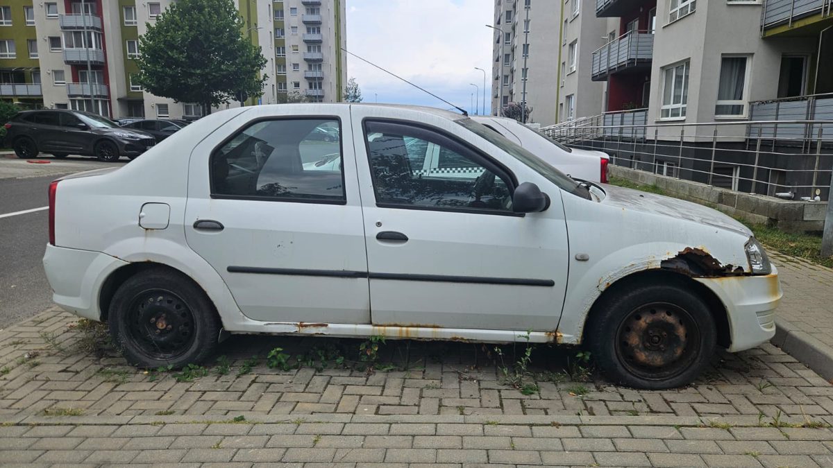 Miniatură 2