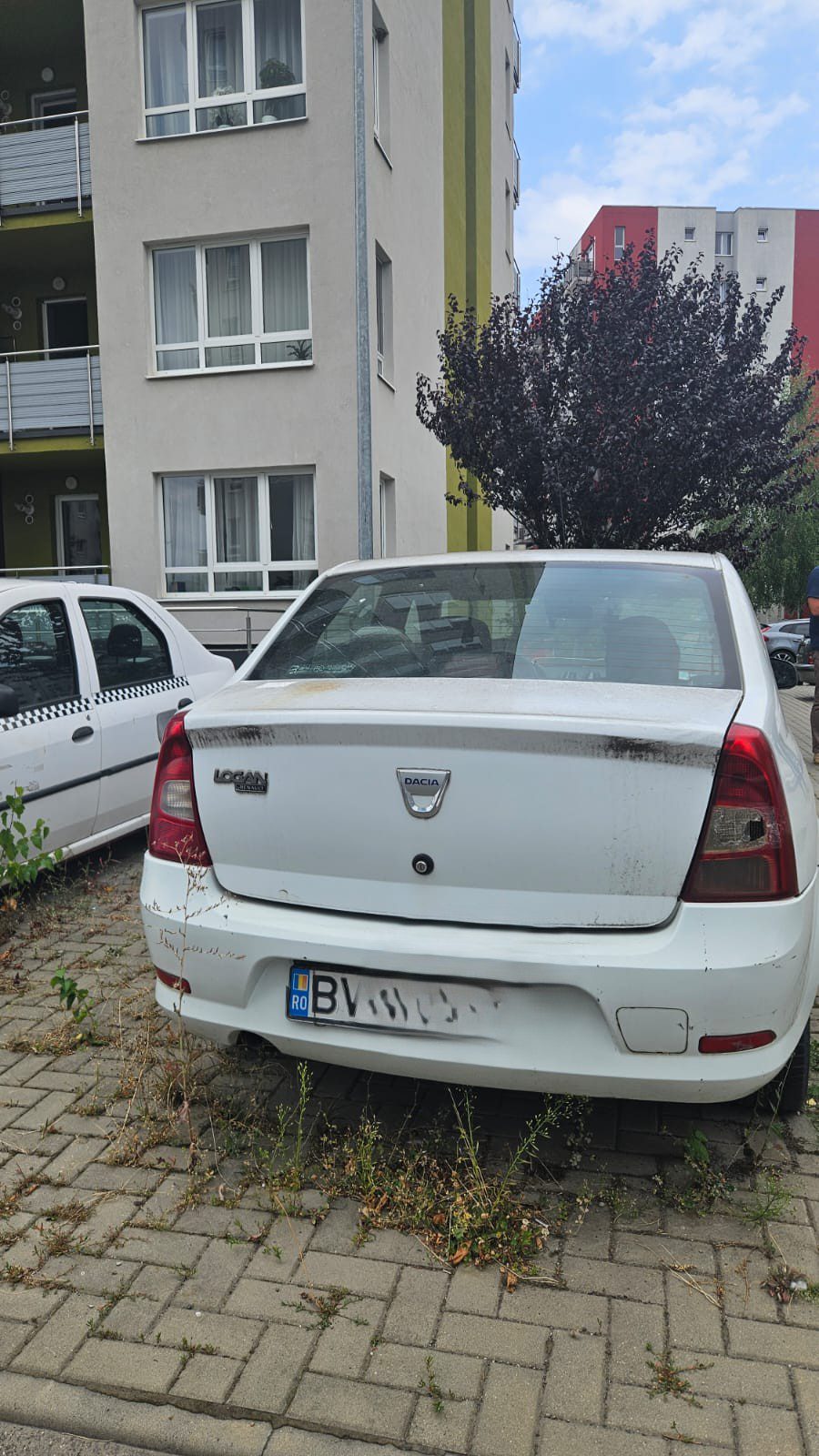 Miniatură 3
