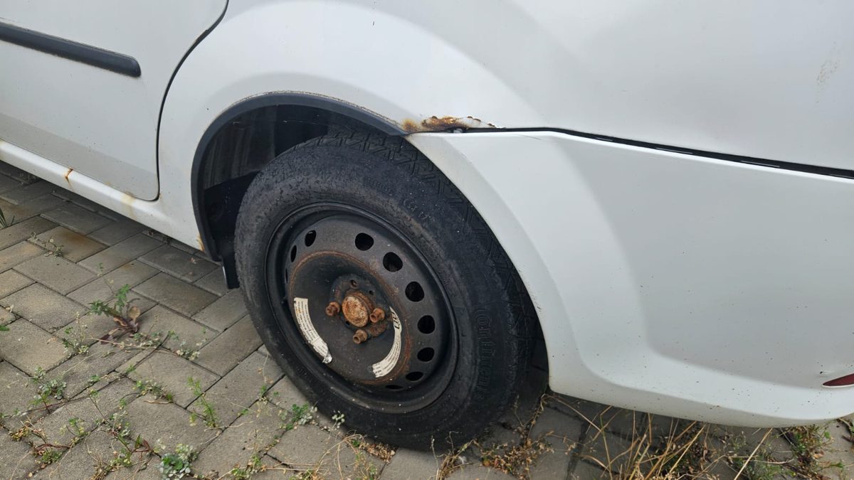 Miniatură 5