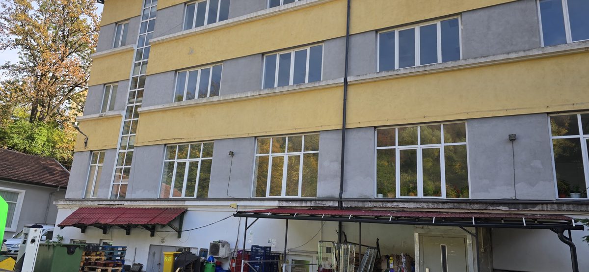 Miniatură 5