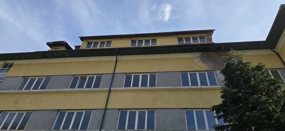 Miniatură 6
