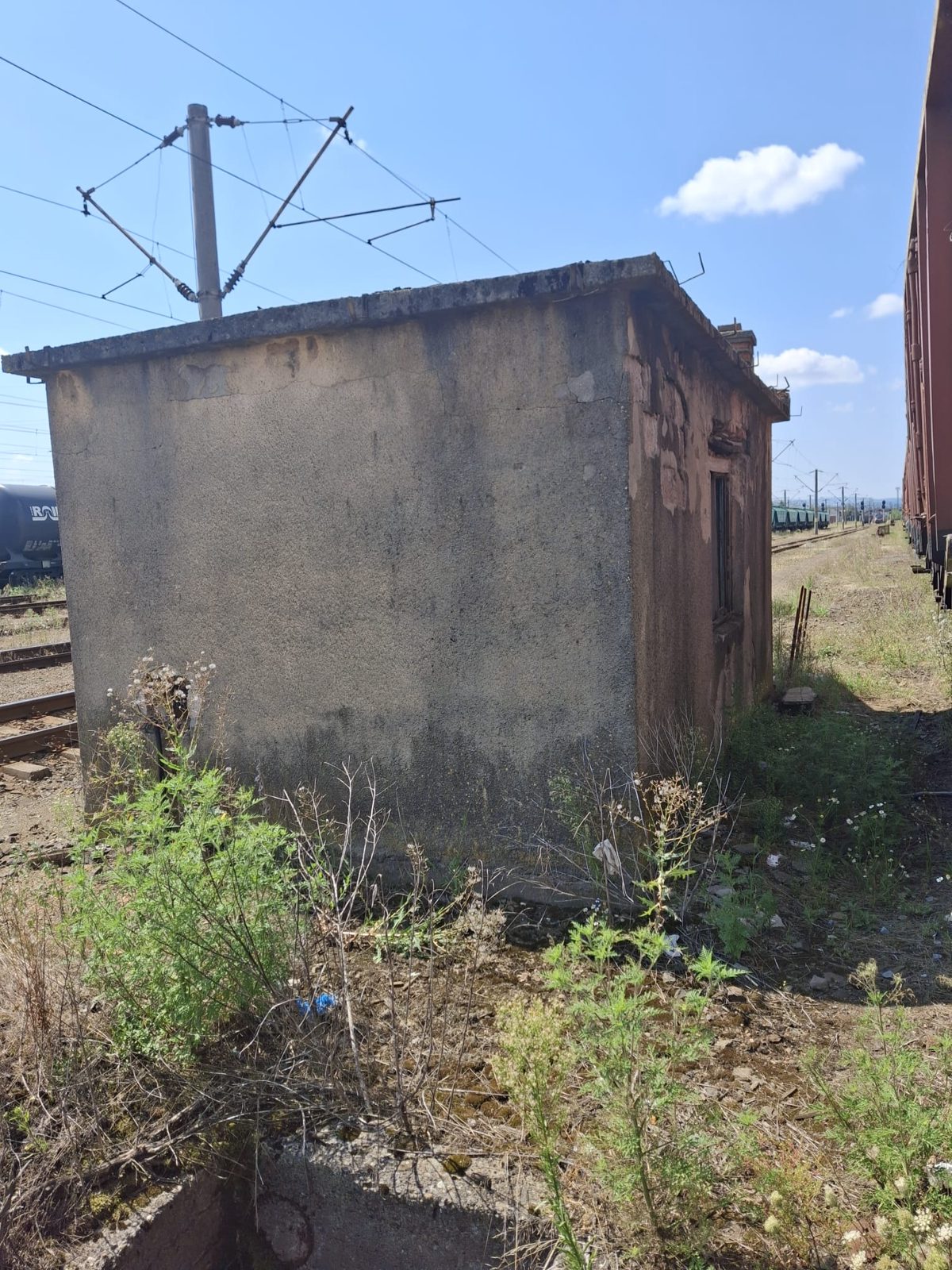 Miniatură 2