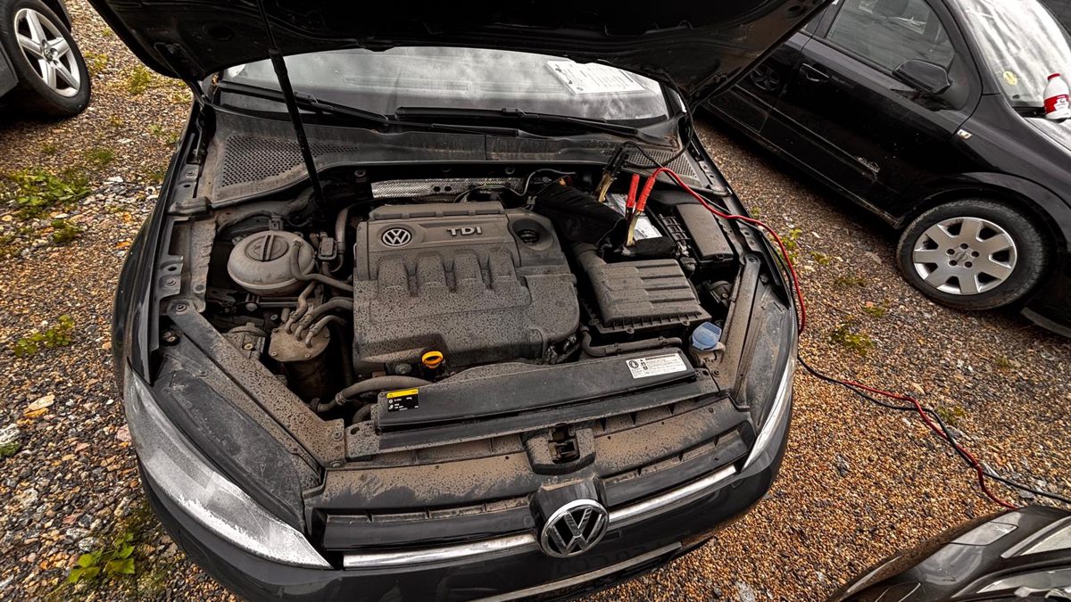 Miniatură 6
