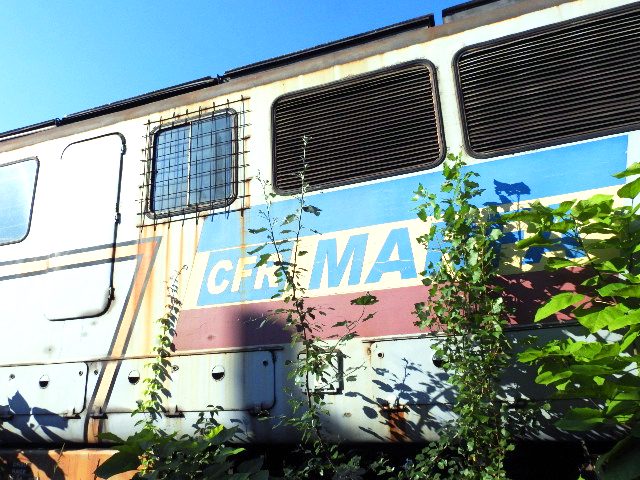 Miniatură 3