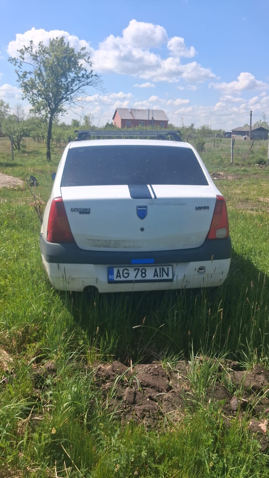 Miniatură 6