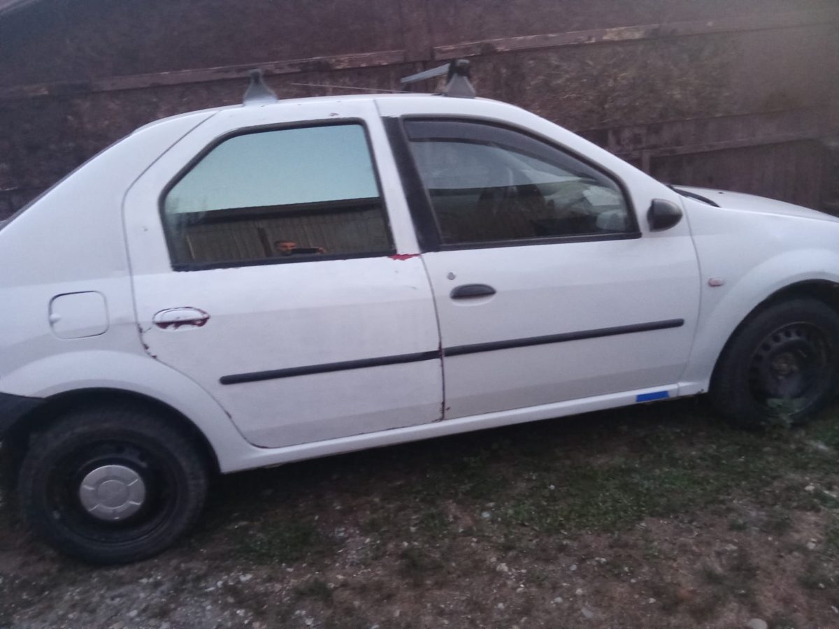 Miniatură 7