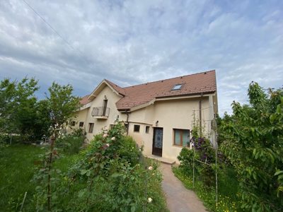 Apartament - casa / vila