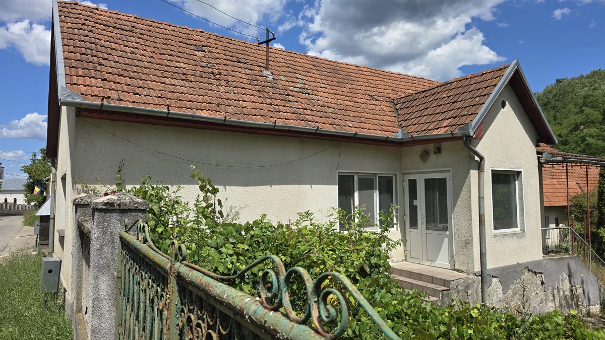Miniatură 3