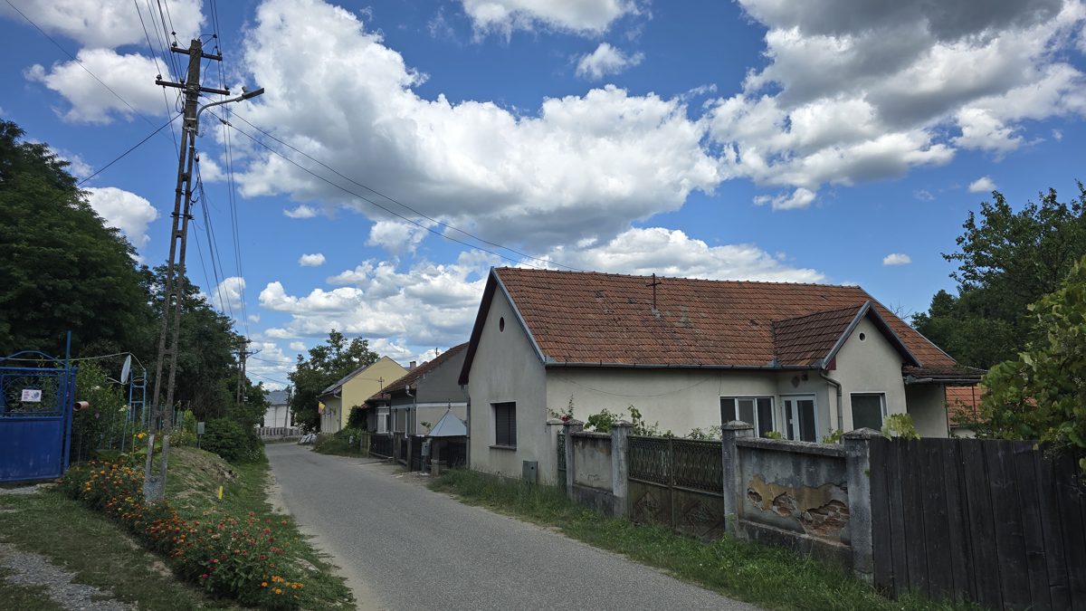 Miniatură 4