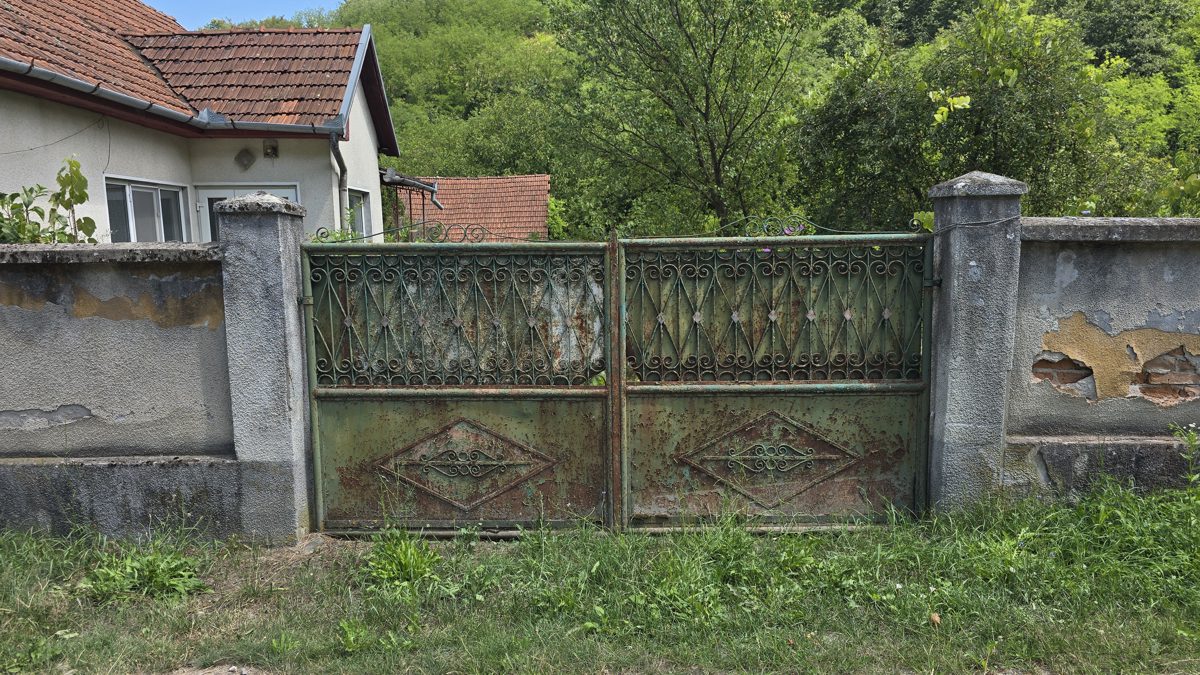 Miniatură 5