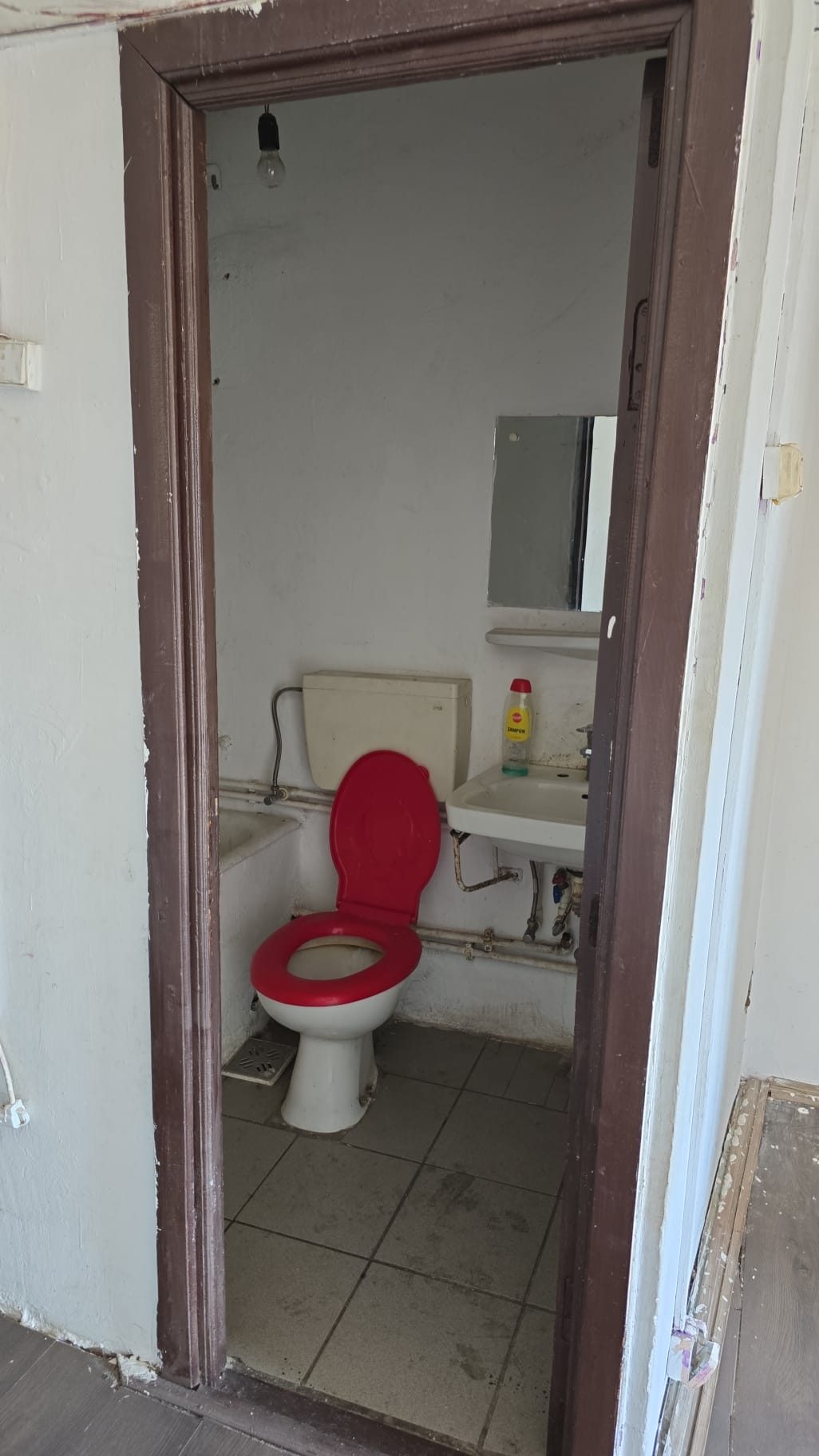 Miniatură 7