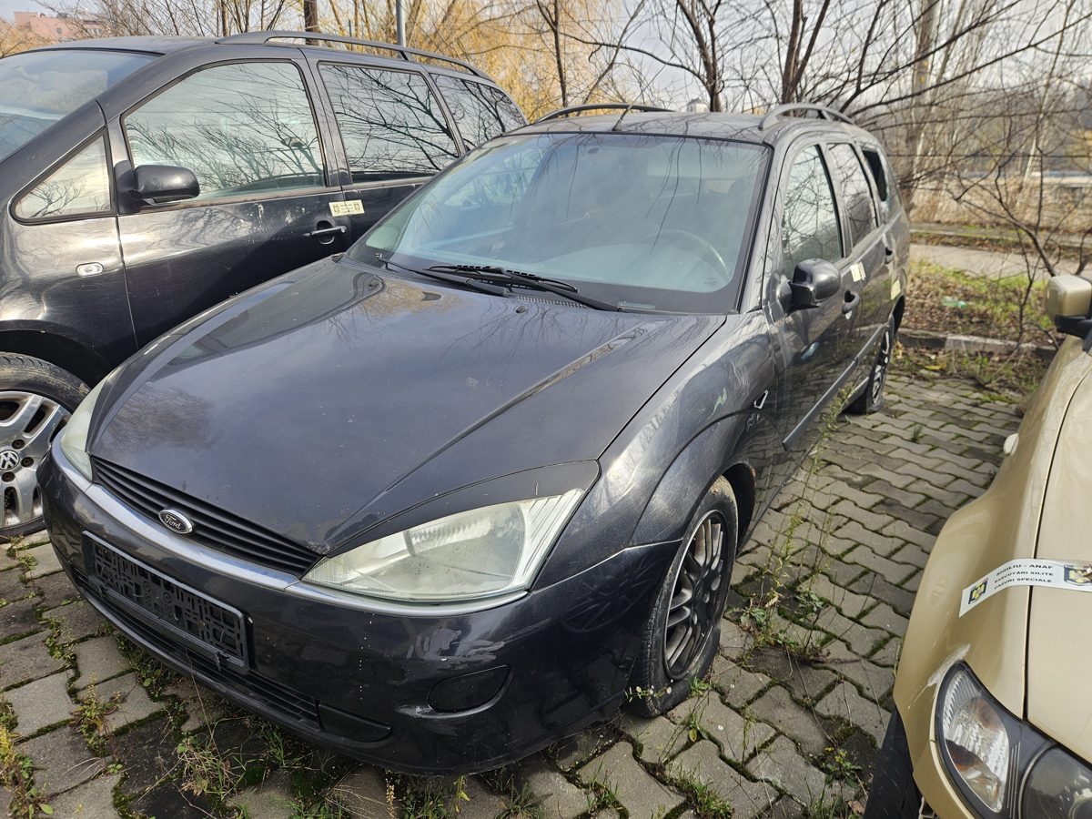 Miniatură 3