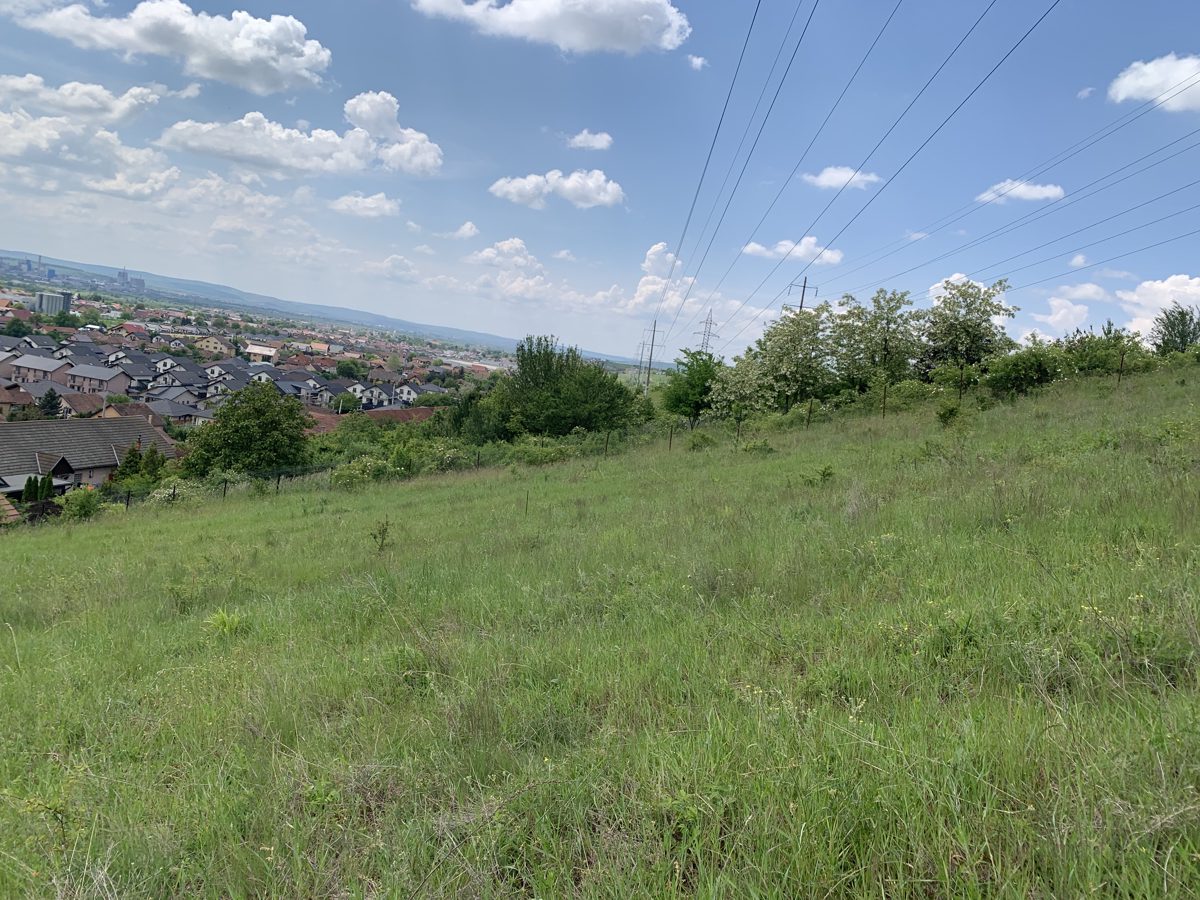 Miniatură 3