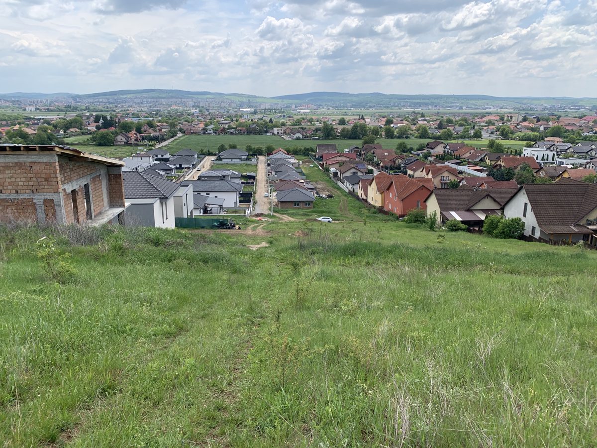 Miniatură 5