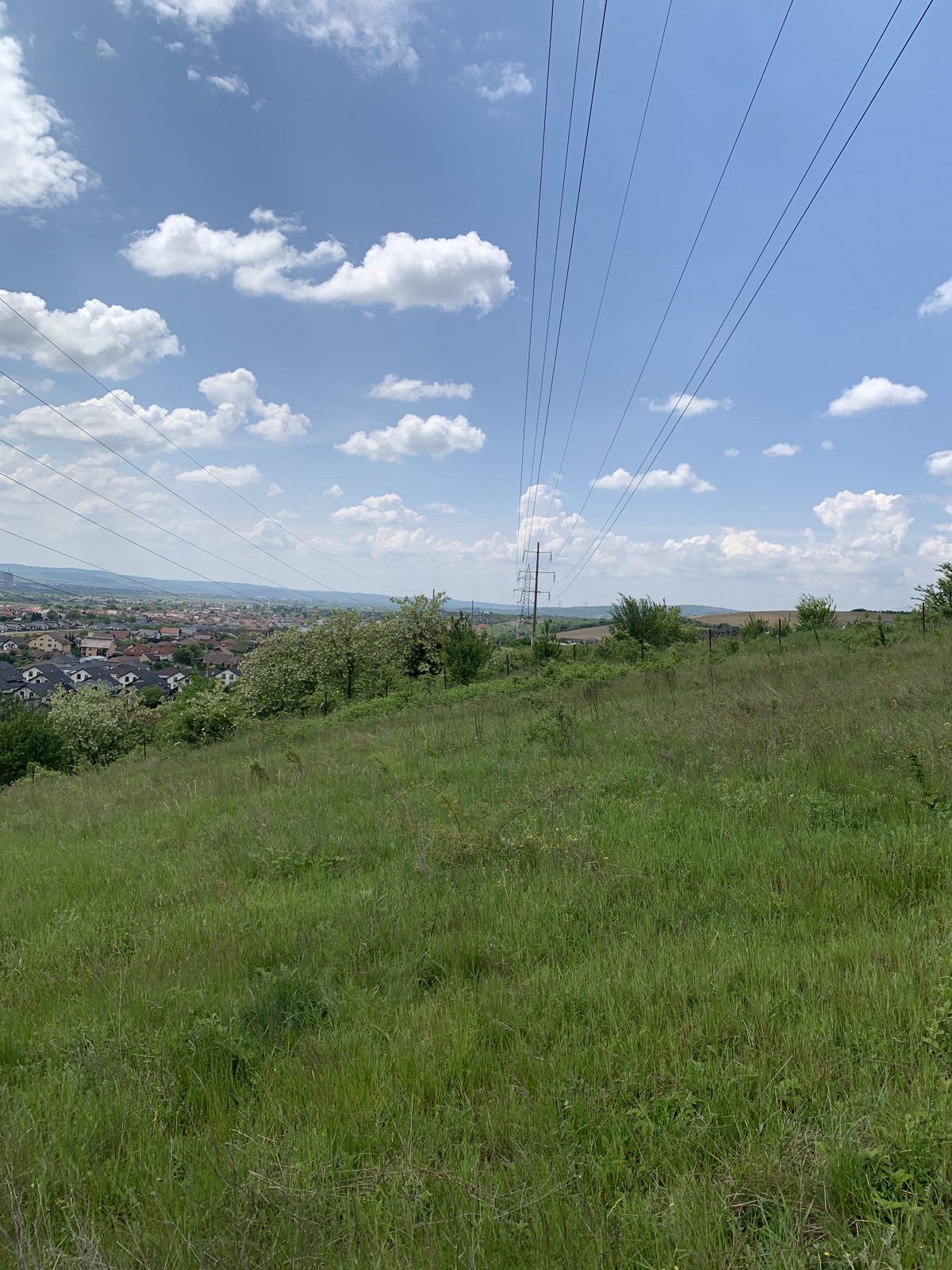 Miniatură 6
