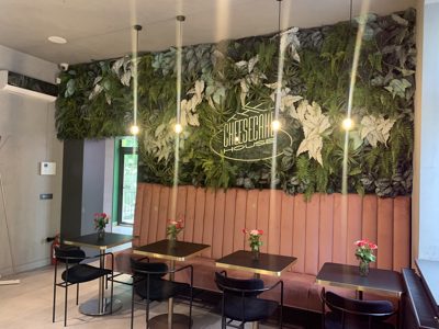 DECORATIUNI DIN PLANTE  ARTIFICIALE DECOR PERETE