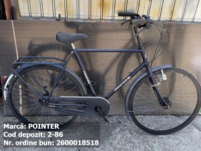 Bicicleta- Pointer