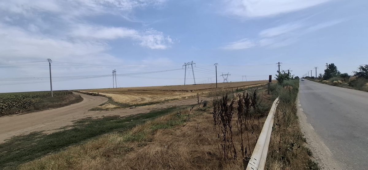 Miniatură 2