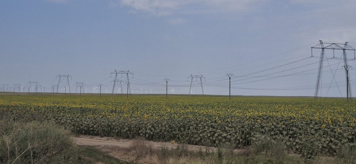 Miniatură 4