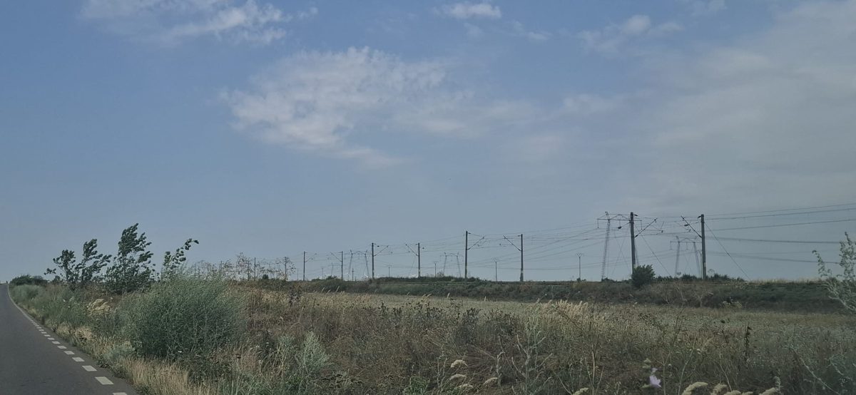 Miniatură 5