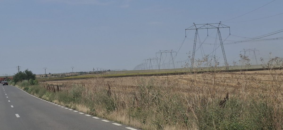 Miniatură 6