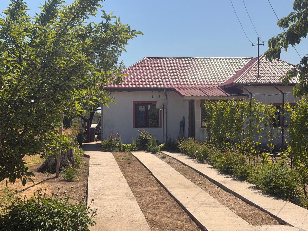Uzufruct viager - casa si teren 1