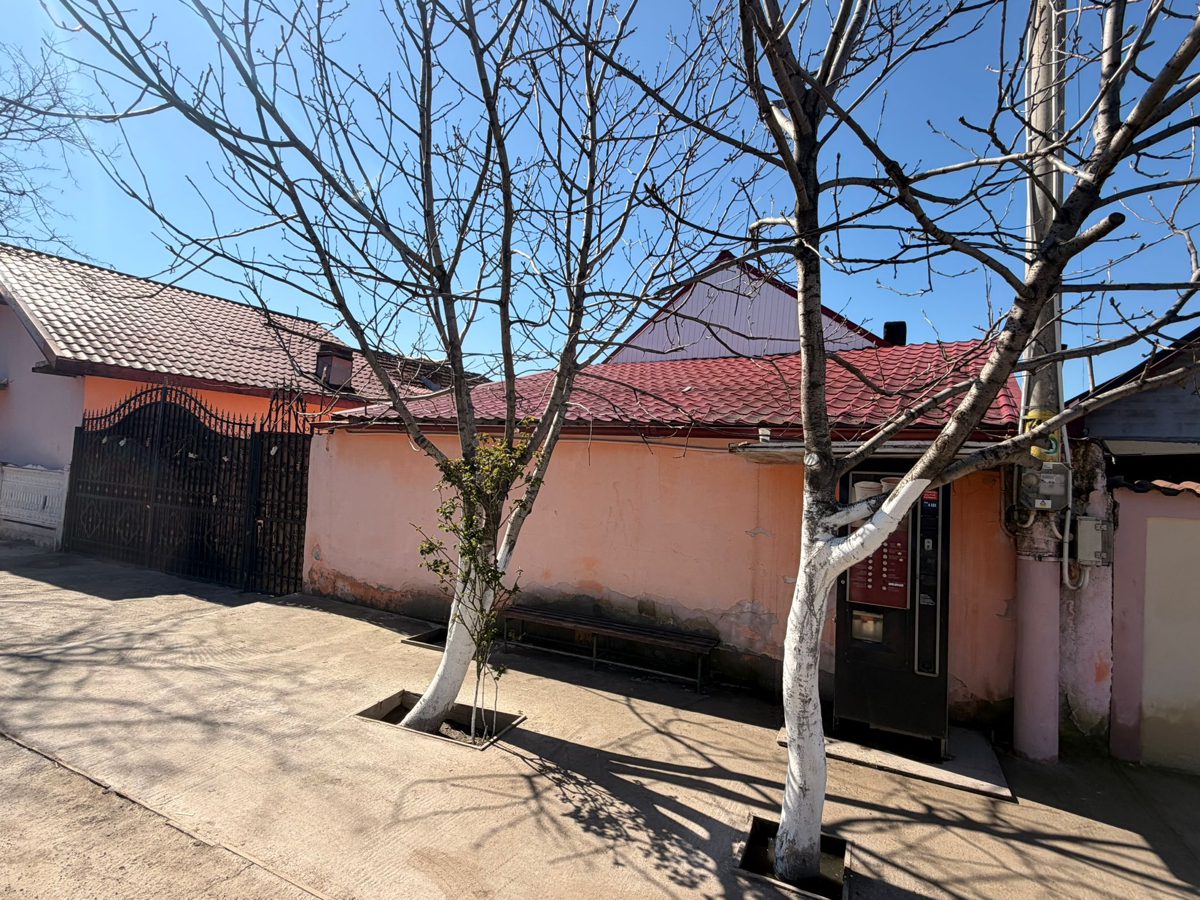Miniatură 3
