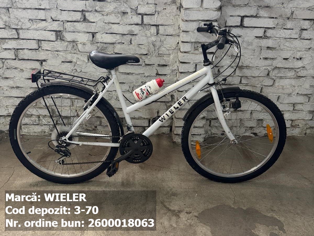 Bicicleta- Wieler 1