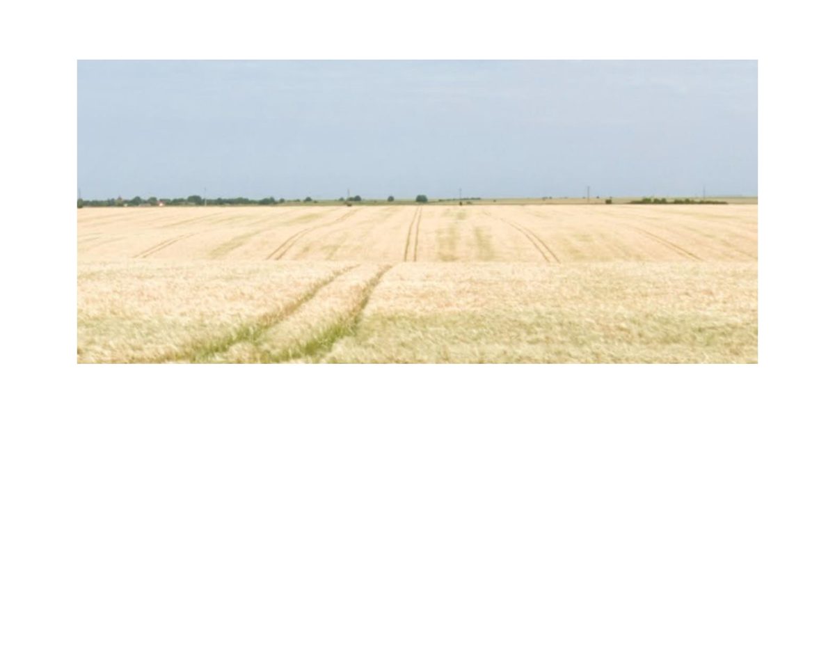Teren agricol extravilan - cota 1/12 din TEREN in suprafata de 10000 MP 1