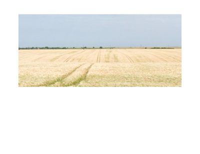 Teren agricol extravilan - cota 1/12 din TEREN in suprafata de 10000 MP