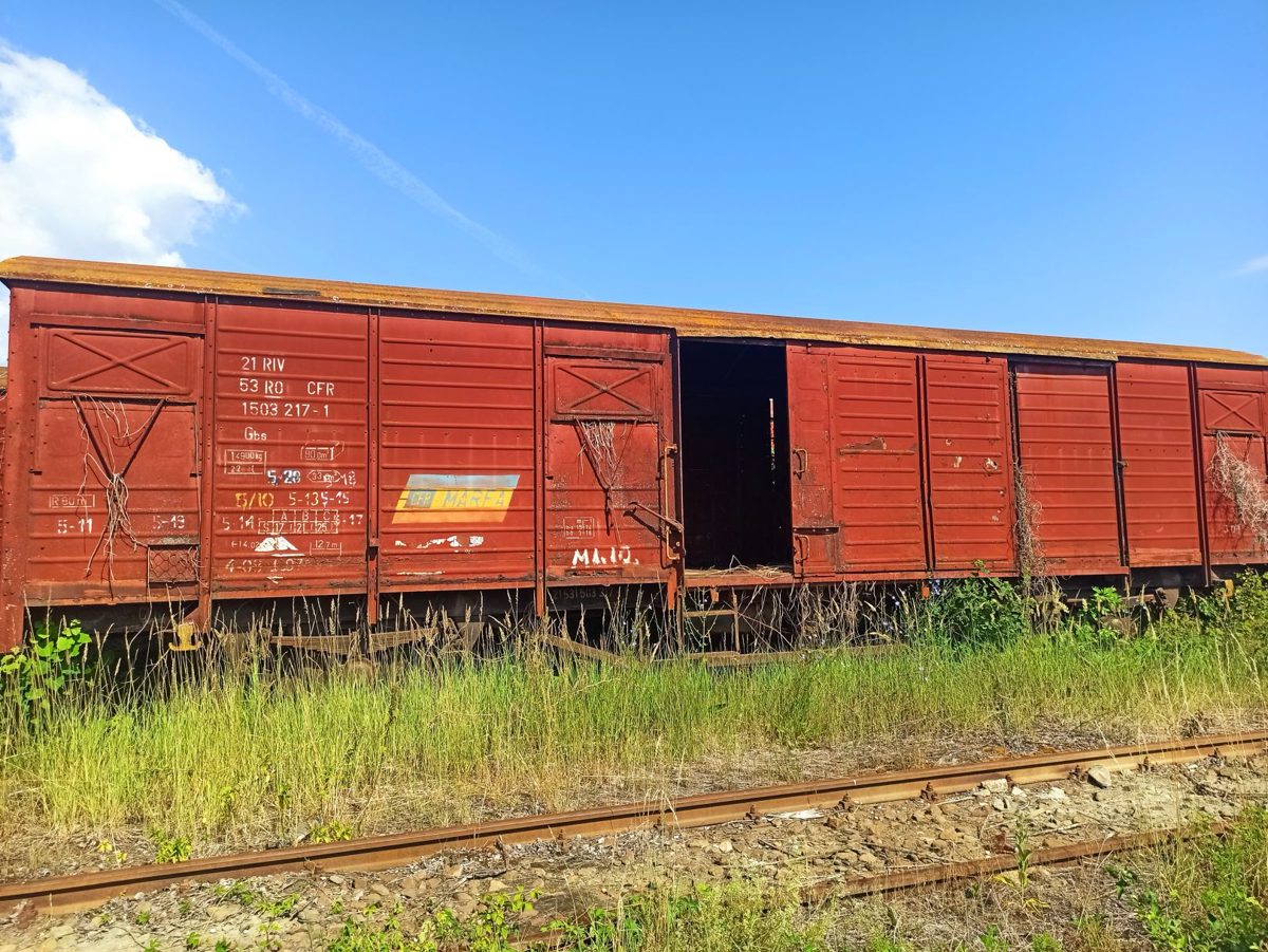 Miniatură 4