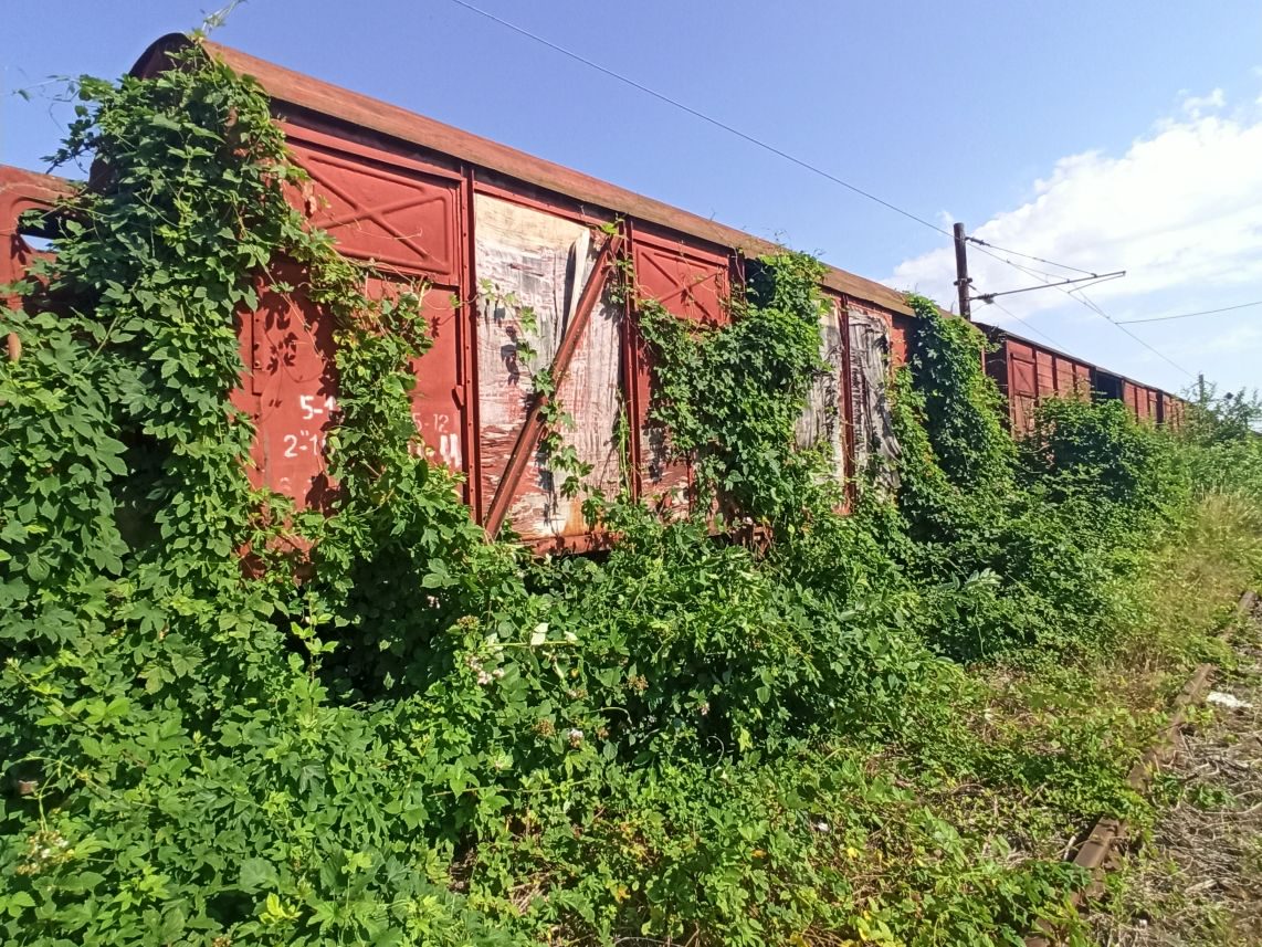 Miniatură 4