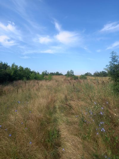 Teren agricol - arabil intravilan in suprafata de 2000 MP