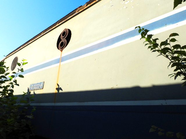 Miniatură 3