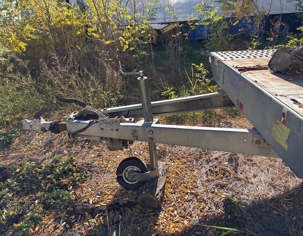 Miniatură 3