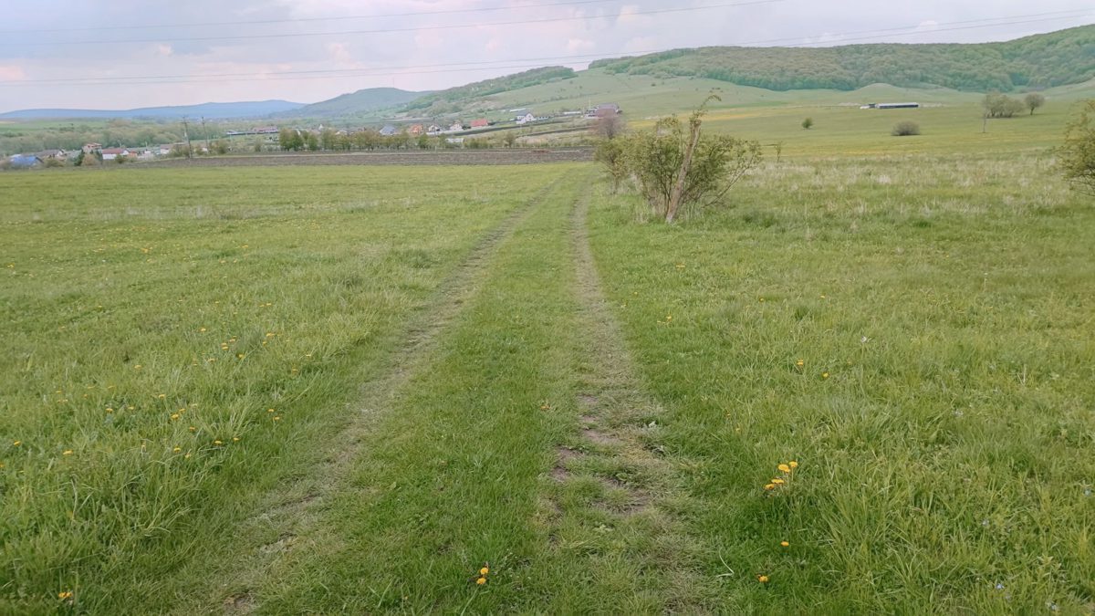 Faneata - Extravilan in suprafata de 1799 MP 1