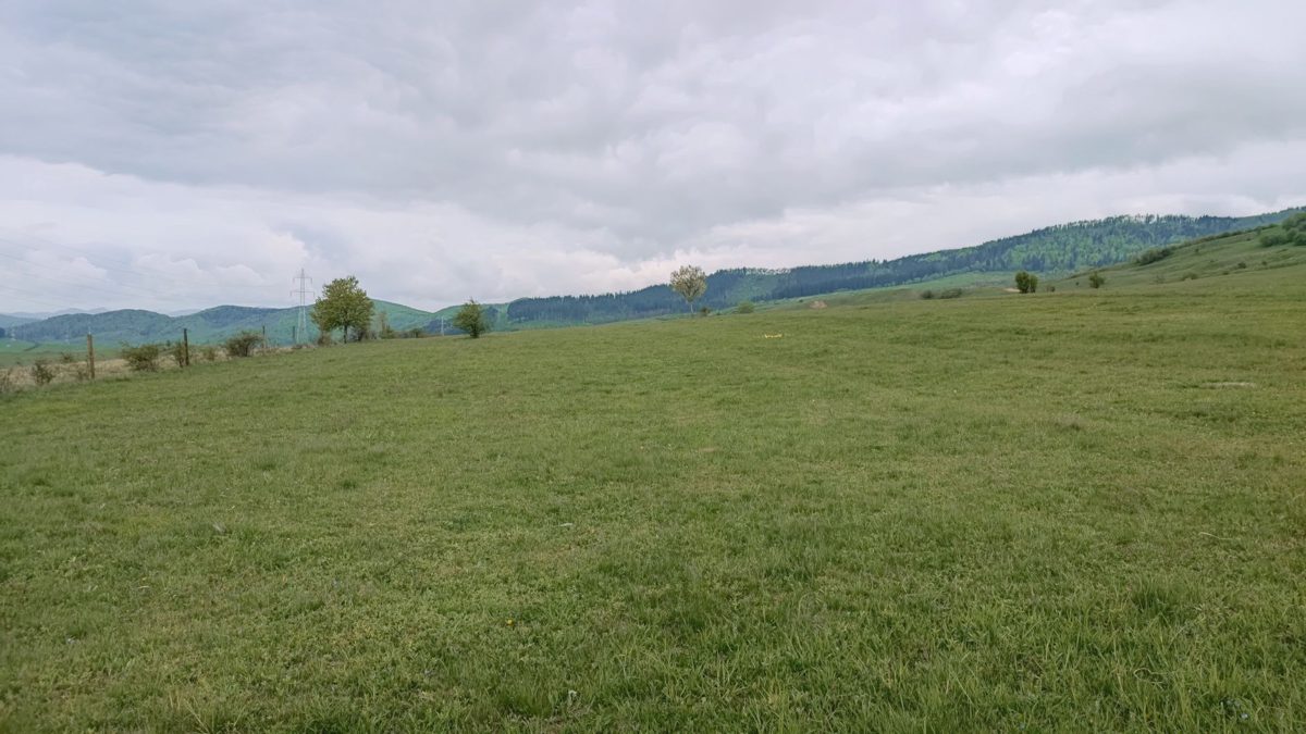 Miniatură 2