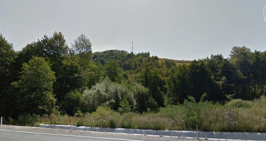 Miniatură 2