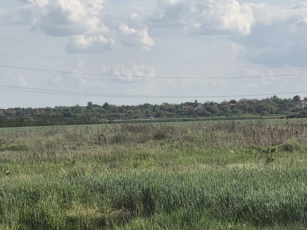 Teren agricol -- inregistrat in cartea funciara nr. CF 66285 Nojorid 1