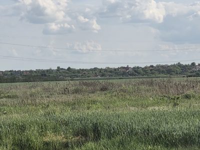 Teren agricol -- inregistrat in cartea funciara nr. CF 66285 Nojorid