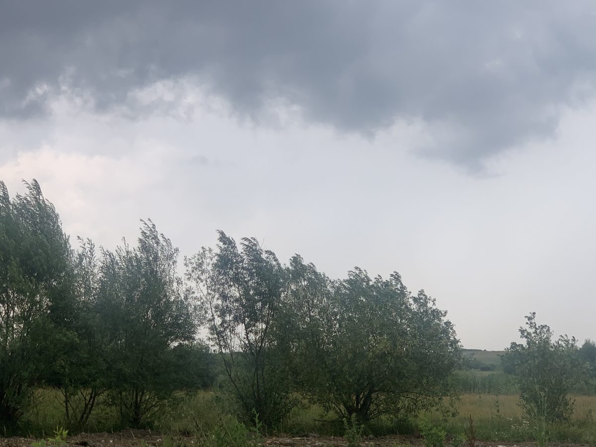 Teren agricol - in suprafata de 2600 MP 1